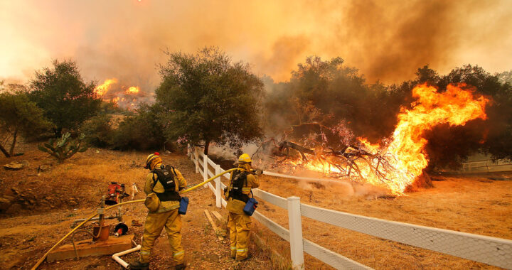 A photo of a field and trees on fire and orange sky. Two firefighters are seen working to fight the blaze.